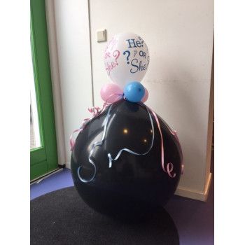 Geslachts ballon met lucht